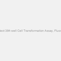 CytoSelect 384-well Cell Transformation Assay, Fluorometric